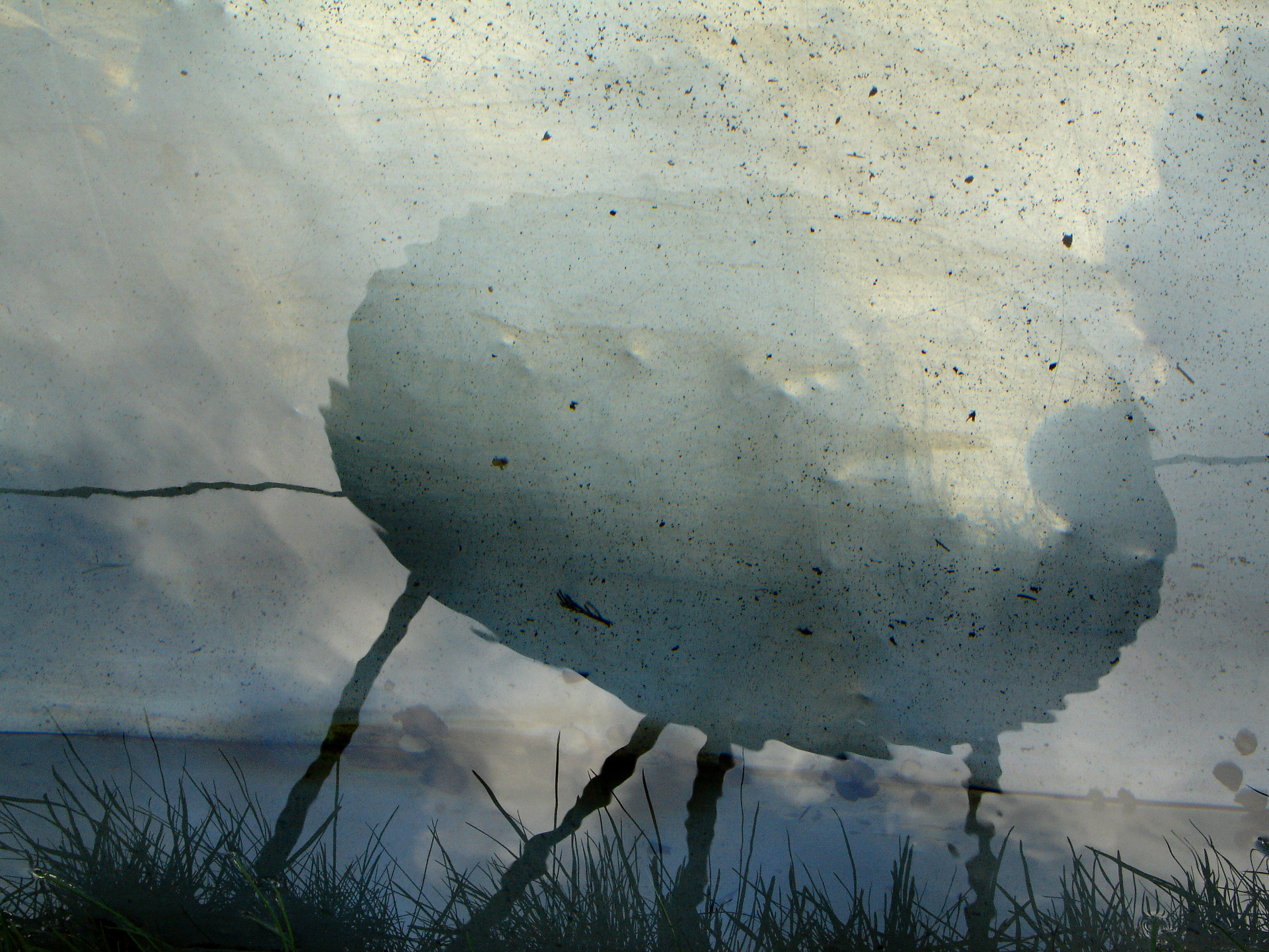 Blanka Lamrová, z cyklu Reflexe 2020